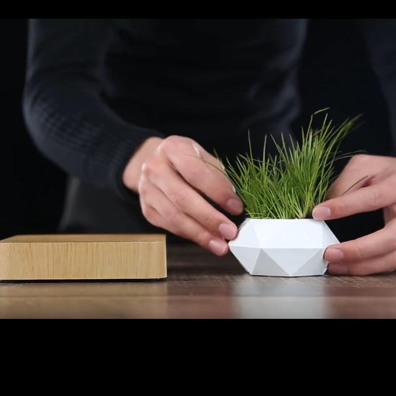 The Levitating Plant Pot