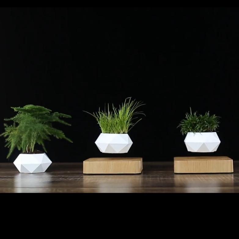 The Levitating Plant Pot