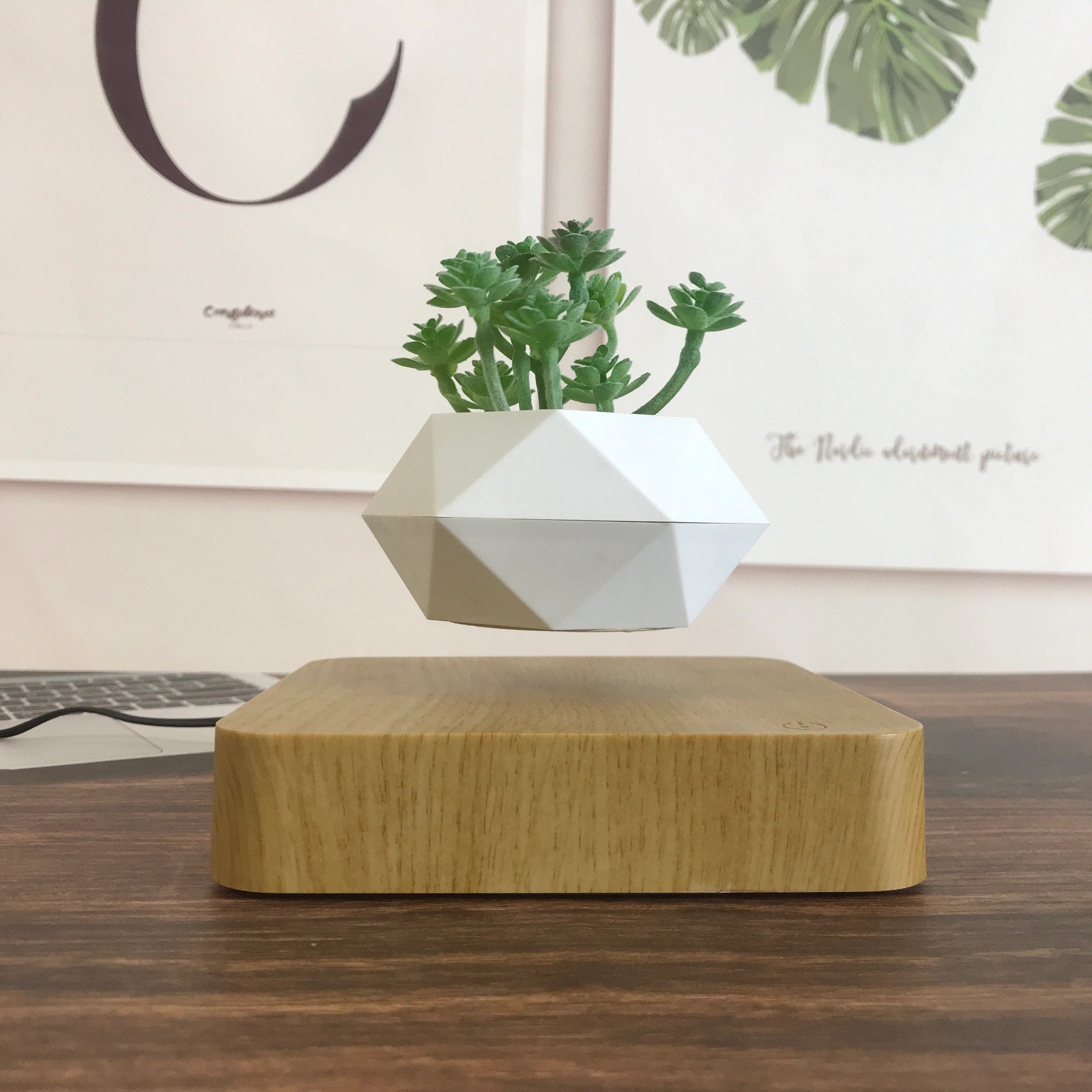 The Levitating Plant Pot
