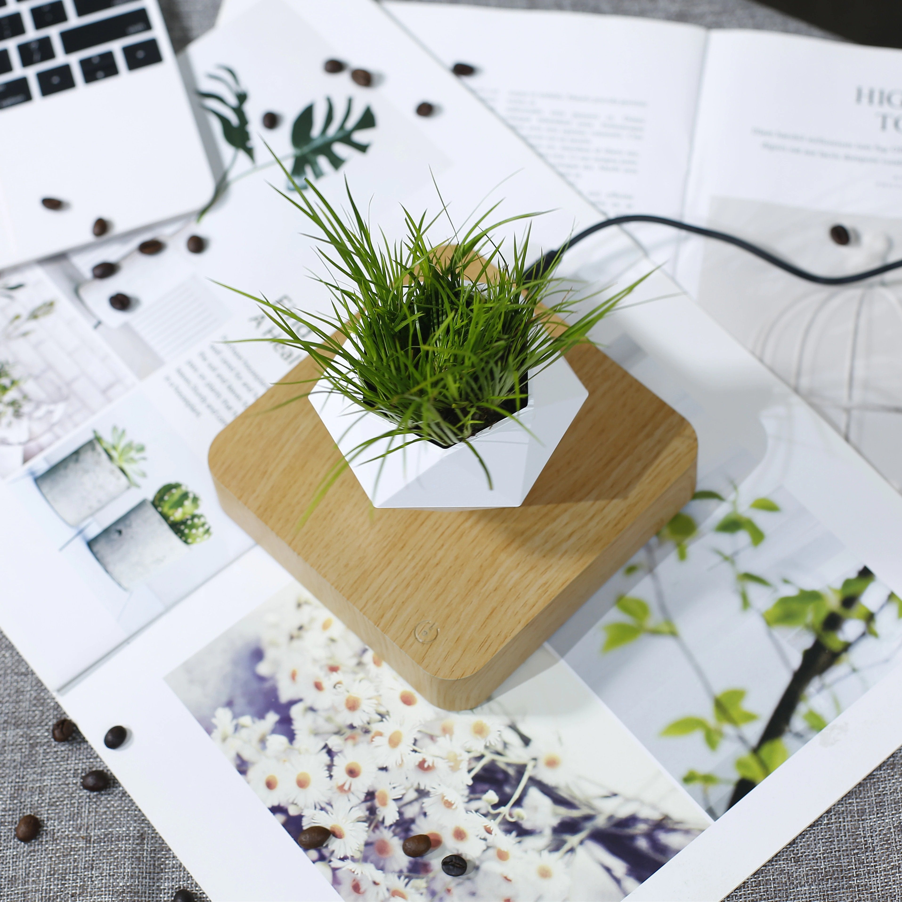 The Levitating Plant Pot
