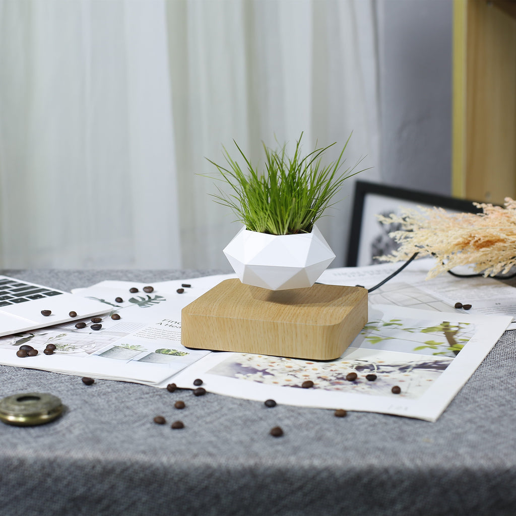The Levitating Plant Pot