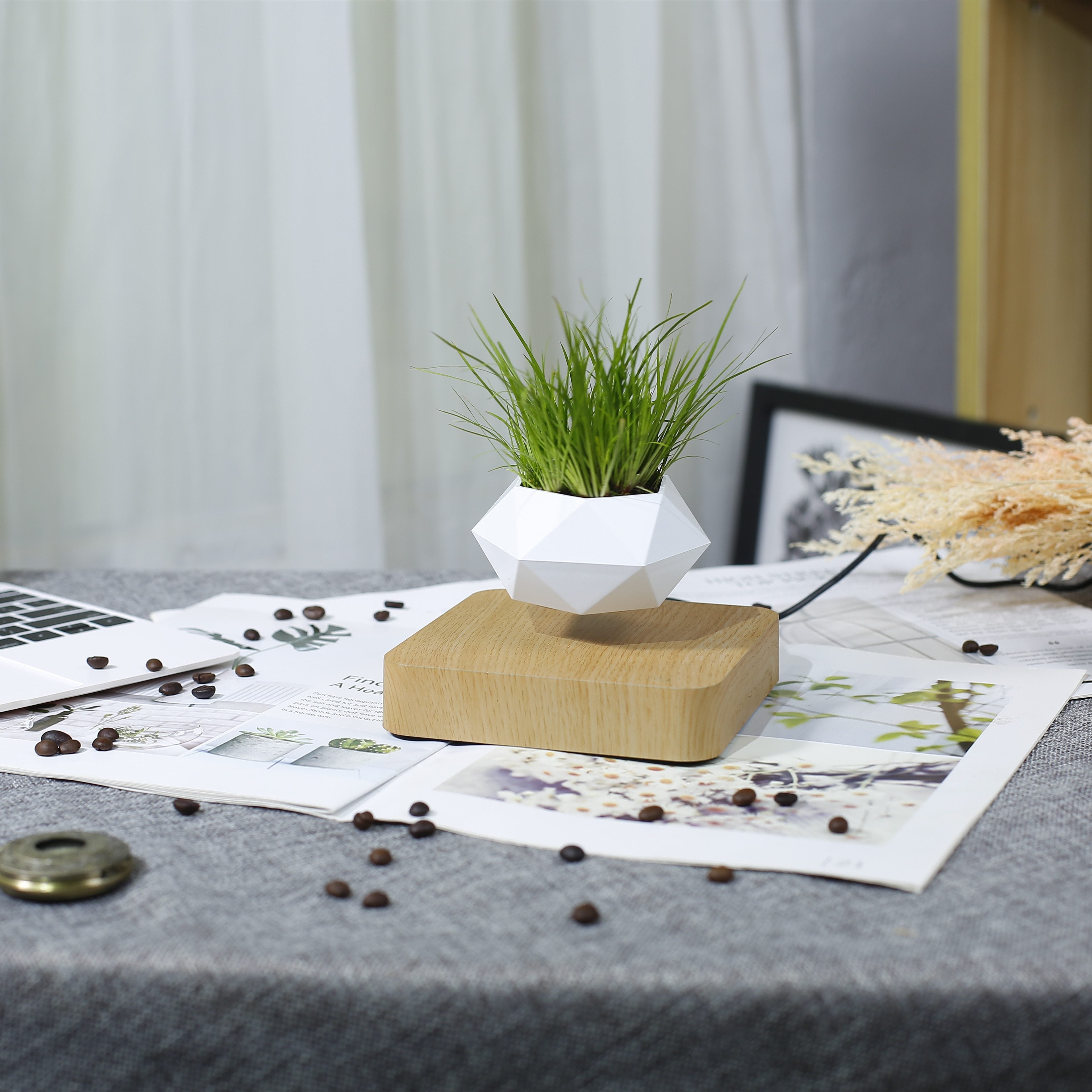 The Levitating Plant Pot