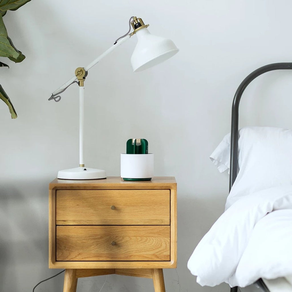 Smart Mosquito Killer Lamp ( Limited Cactus Edition )