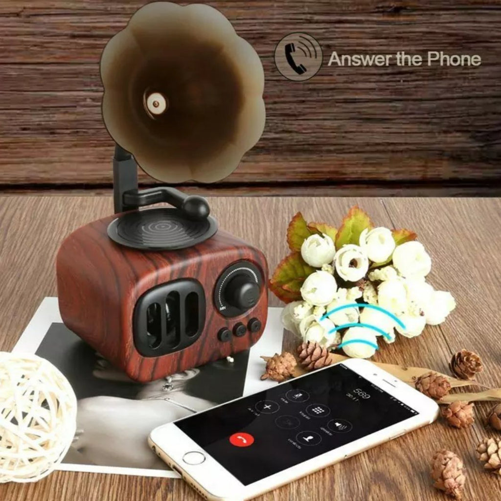The Retro Spokhomme ( Retro Bluetooth Speaker )