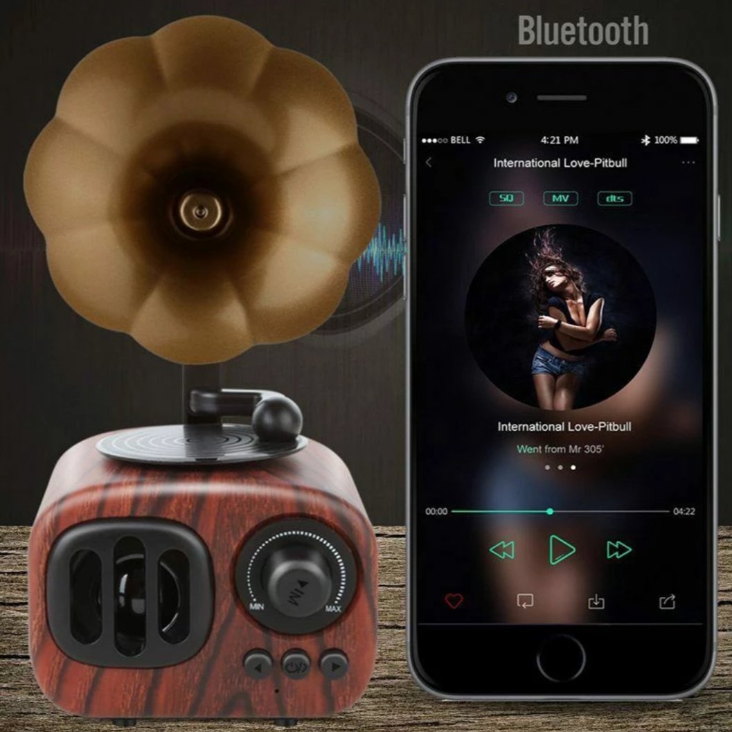 The Retro Spokhomme ( Retro Bluetooth Speaker )