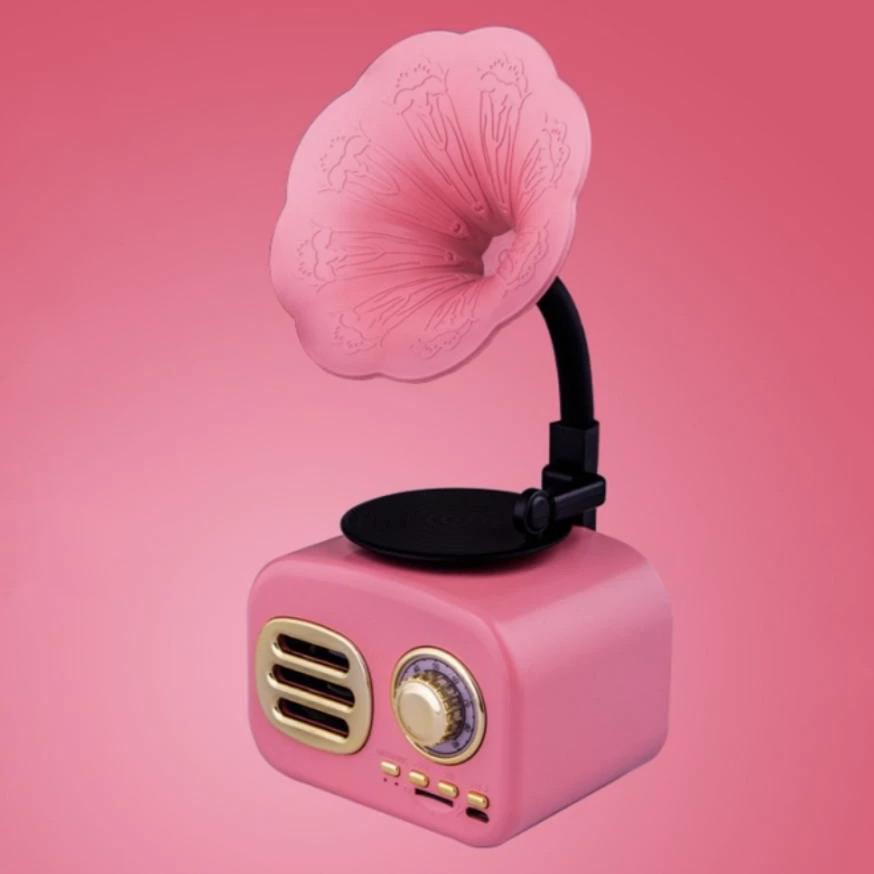 The Retro Spokhomme ( Retro Bluetooth Speaker )