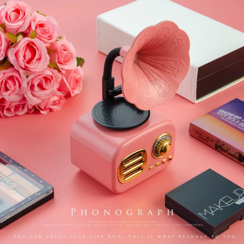 The Retro Spokhomme ( Retro Bluetooth Speaker )