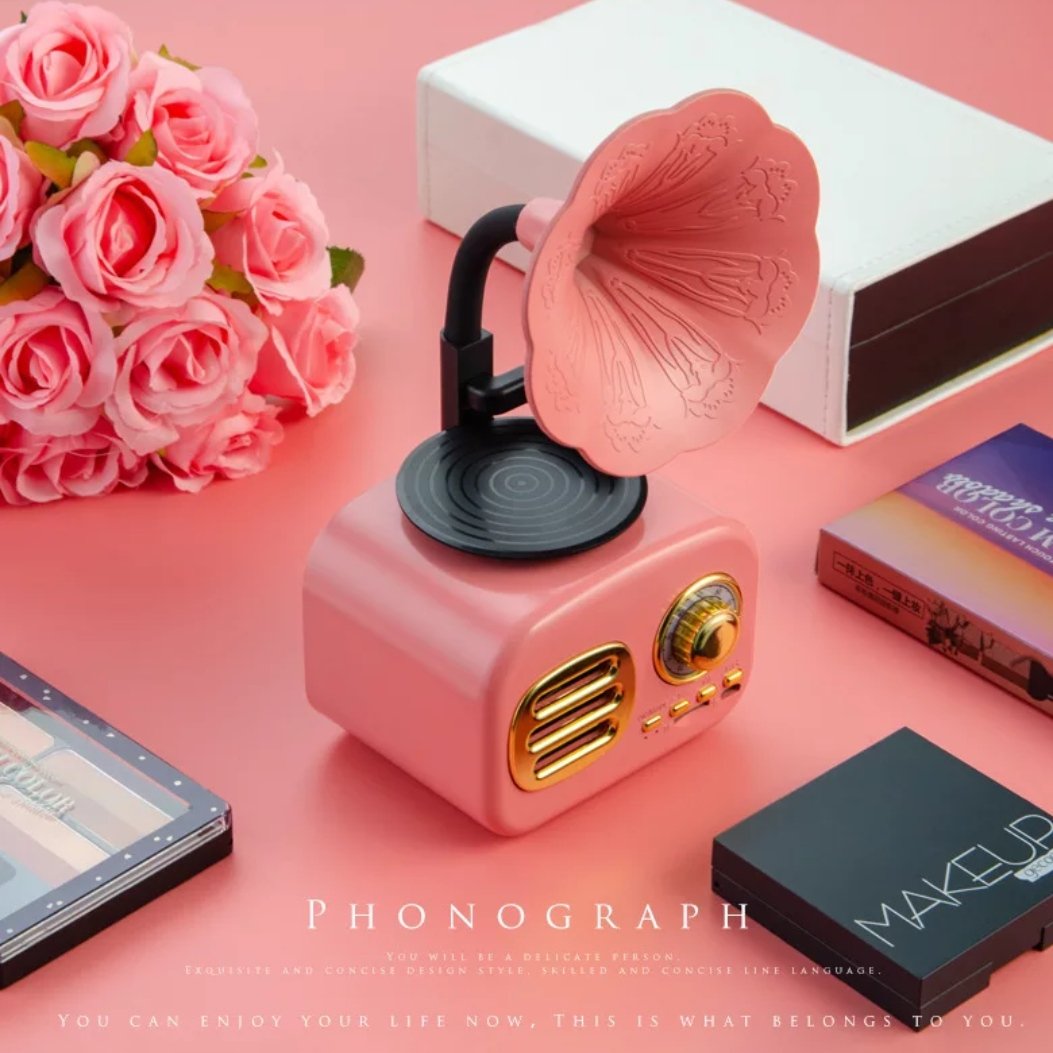The Retro Spokhomme ( Retro Bluetooth Speaker )