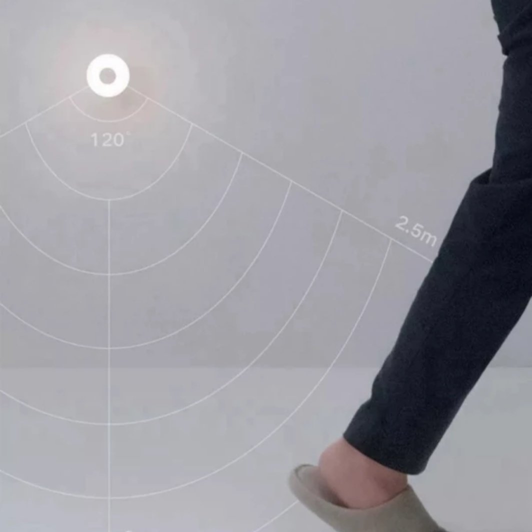 Nordic Smart Light - Motion Sensor Indoor Light